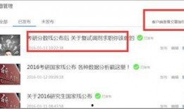 新闻投稿 爆料怎么写的,如何撰写引人关注的独家报道